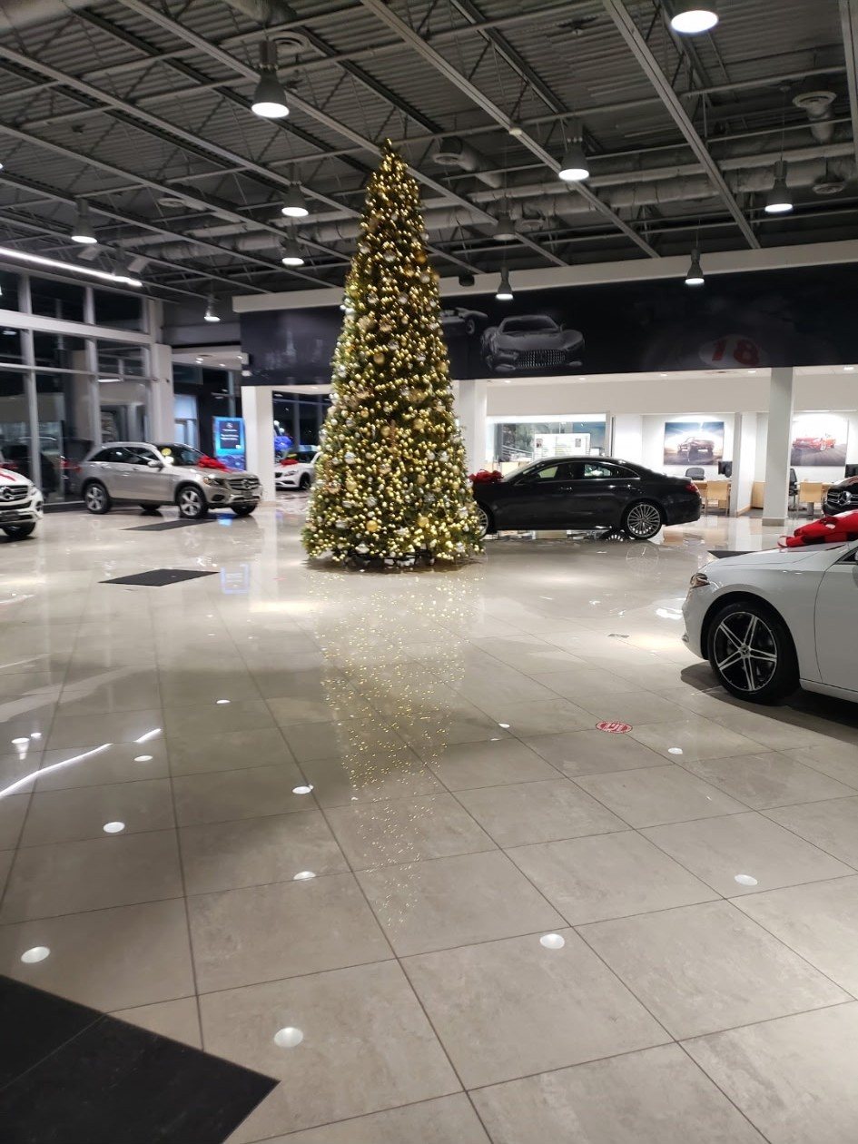 Car showroom with a polished floor, repainted walls and cars on display